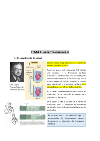TEMA-4-neurotransmisores.pdf