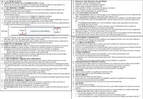 TEMA-6-PCR.pdf