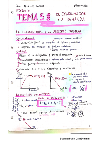 T5Micro2JML.pdf