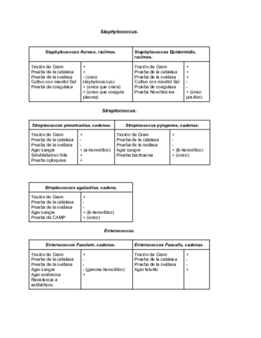Protocolos.pdf