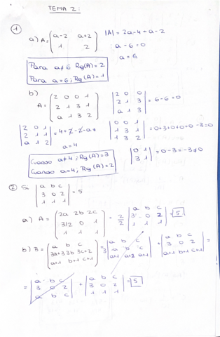 Tema-2.pdf