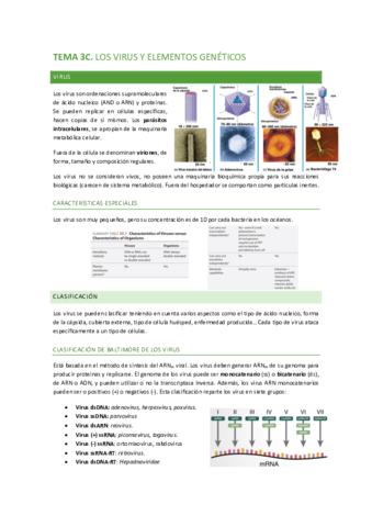 TEMA-3C-VIRUS-.pdf