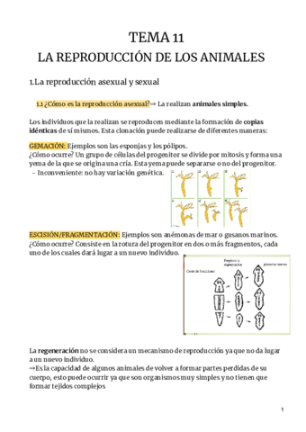 TEMA-11Biologia.pdf