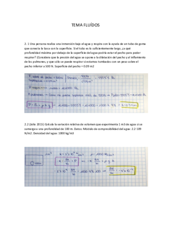problemas-fluidos.pdf
