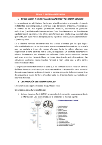 TEMA-7.pdf
