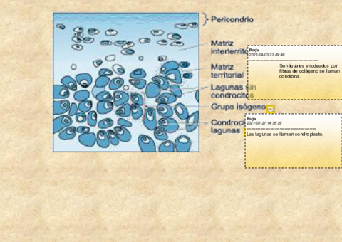 5-imagenes-temas-11-a-13.pdf