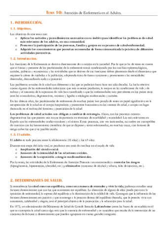 TEMA-10.pdf