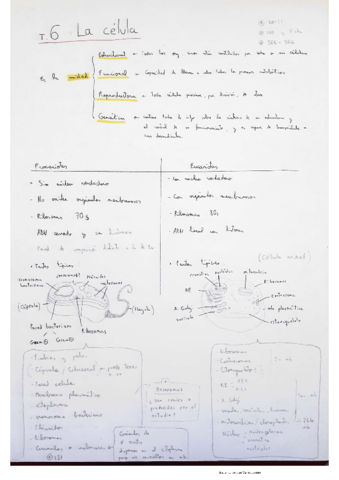 La-celula.pdf