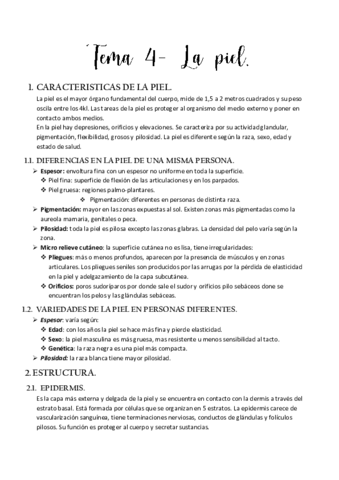 Tema-4.pdf