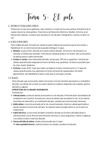 Tema-5.pdf