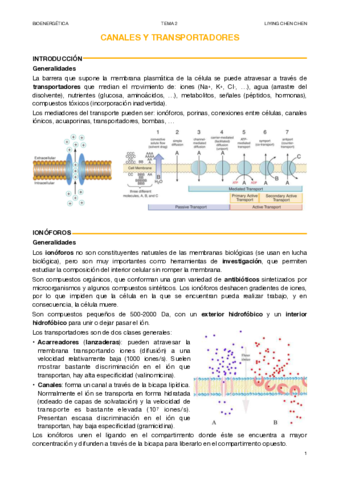 BIOENERGETICA-2.pdf