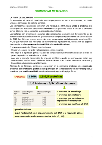 CITOGENETICA-8.pdf
