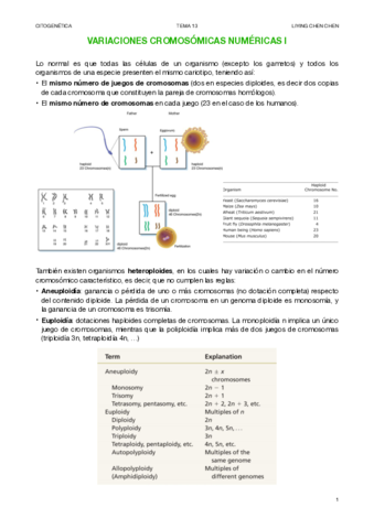 CITOGENETICA-13.pdf