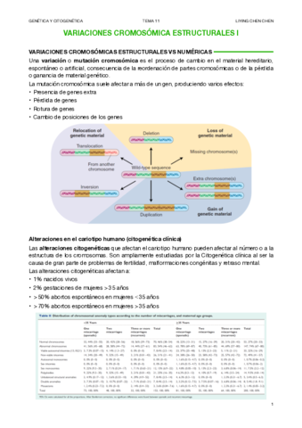 CITOGENETICA-11.pdf