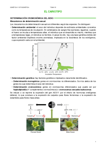 CITOGENETICA-10.pdf