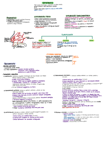 Epistaxis.pdf