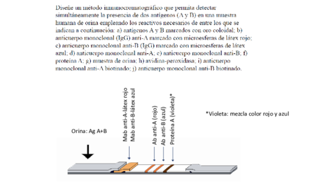 Ejerciciostipoexamenresueltos.pdf