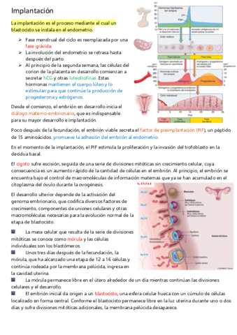 23-implantacion-placenta-y-grandulas-mamarias.pdf