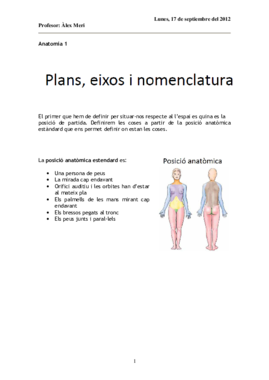 Anatomia 1 Plans i eixos.pdf