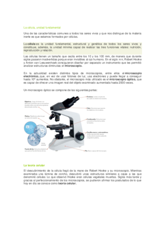 La-celula.pdf