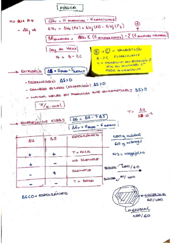 TERMOQUIMICA.pdf