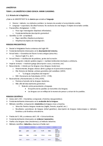 Linguistica-TODOS-los-apuntes.pdf