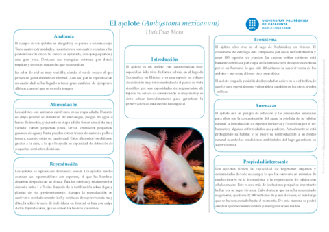Presentacion-ajolote.pdf