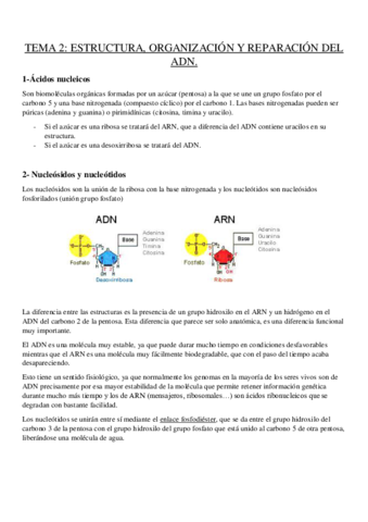 tema-2-genetica.pdf