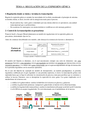 tema-4-genetica.pdf