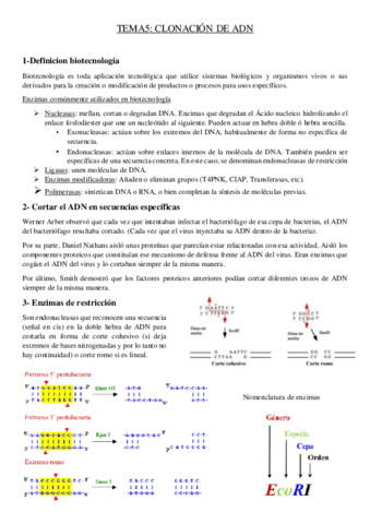 tema-5-genetica.pdf