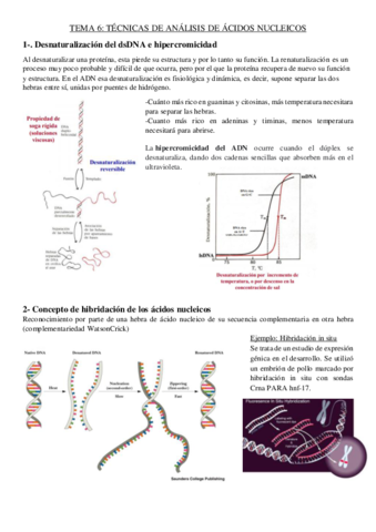 tema-6-genetica.pdf
