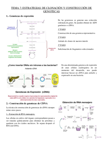 tema-7-genetica.pdf