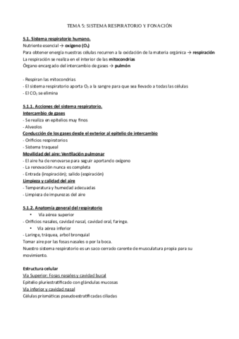 ANATOMIA-TEMA-5.pdf