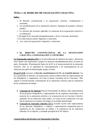 TEMA-1-NC.pdf