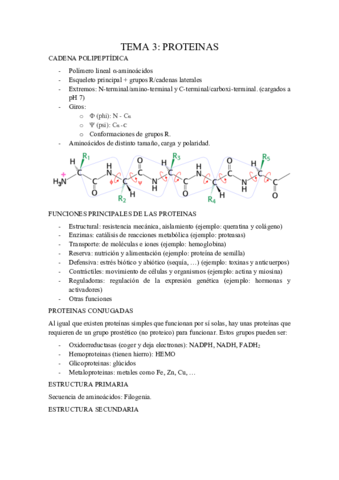 Tema-3-Proteinas.pdf