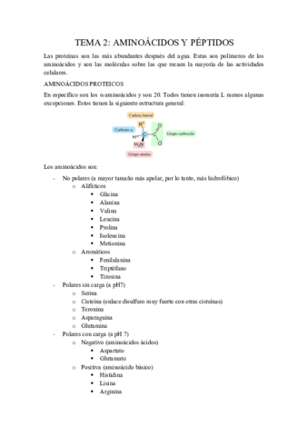 Tema-2-Aminoacidos-y-peptidos.pdf