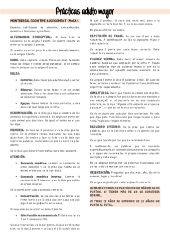 PRACTICAS-RESUMEN.pdf