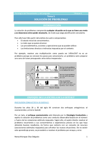 Tema-5-Solucion-de-problemas.pdf