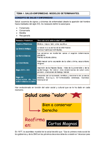 TEMA-1.pdf