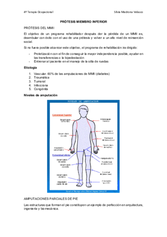 Protesis-MMII.pdf