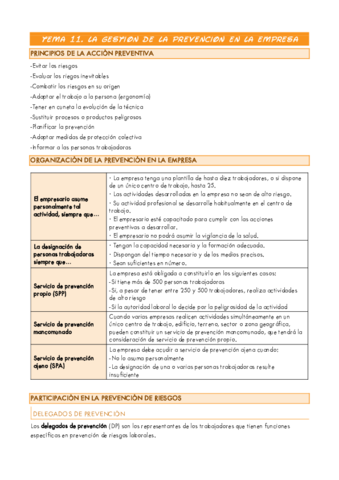 TEMA-11.pdf