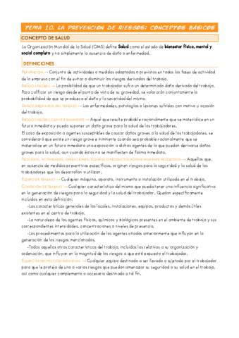 TEMA-10.pdf