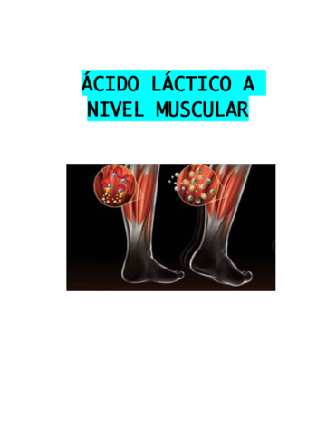 ACIDO-LACTICO-A-NIVEL-MUSCULAR.pdf