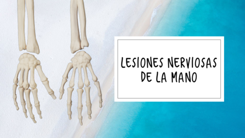 Lesiones-nerviosas-de-la-mano.pdf