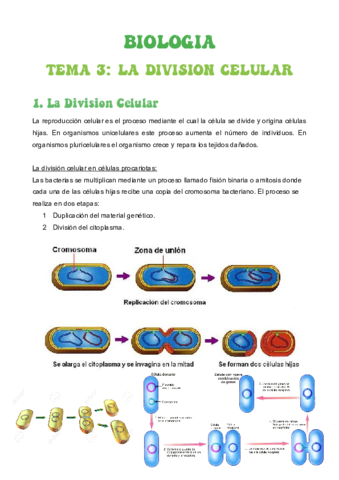 TEMA-3-DIVISIÓN CELULAR.pdf