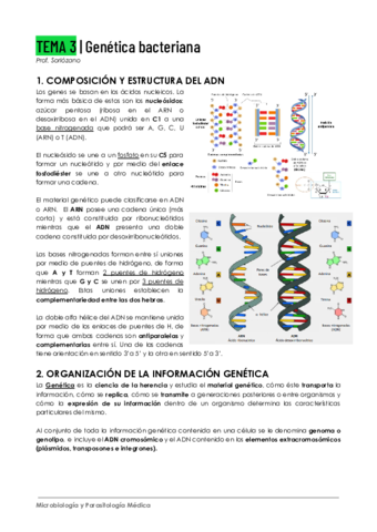 Tema-3-Genetica-Bacteriana.pdf