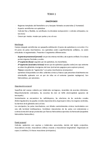 Temario-Completo-1-17.pdf