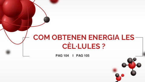 Explicacio-ENERGIA-CEL.pdf