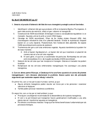 Proces-Obtencio-Blat-de-Moro.pdf