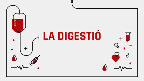 Explicacio-DIGESTIO.pdf